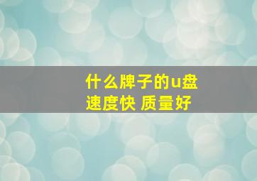 什么牌子的u盘速度快 质量好